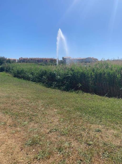 Appartement Le Florid Cap D'Agde, T2 , 4 Pers, 200M Plage, Terrasse Eksteriør billede