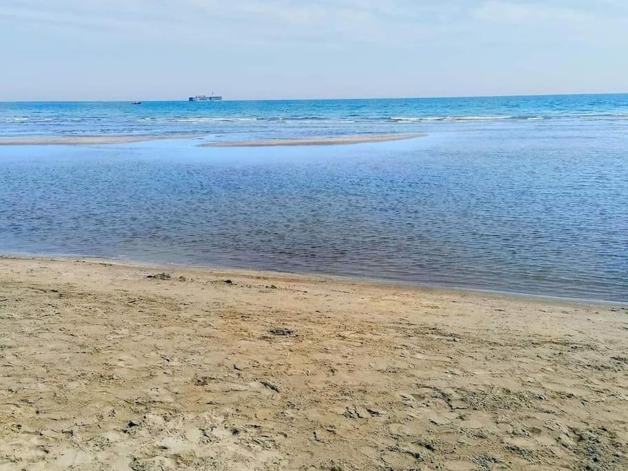 Appartement Le Florid Cap D'Agde, T2 , 4 Pers, 200M Plage, Terrasse Eksteriør billede
